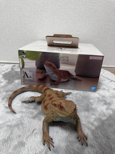 D賞 辿れ ニホンアマガエル 一番くじ 爬虫類と両生類