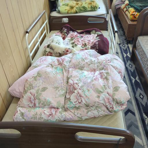 色々　介護用ベッド　入荷