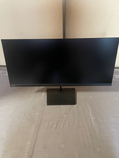 液晶ディスプレイD292WVG