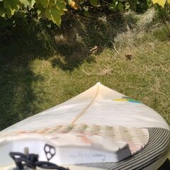 アルメリック、フレッドスタブル5’8”、25.6L