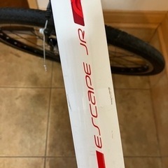 購入決定！GIANTの子供用のクロスバイクです