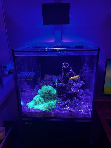 デスクトップパソコン Red sea reefer nano
