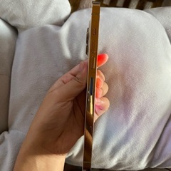 Iphone 13 pro max 1Tb