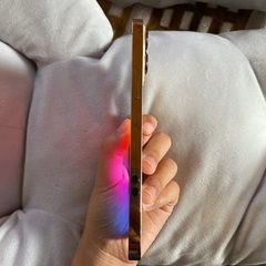 Iphone 13 pro max 1Tb