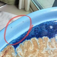 春松 水盤 18号ぐらい 大きめ