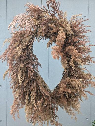 ドライフラワー オーバル　リース　植物