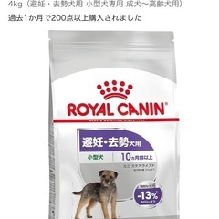 ドックフード　犬