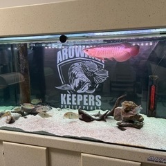 引き取り ガラス水槽セットオーバーフロー 120cm