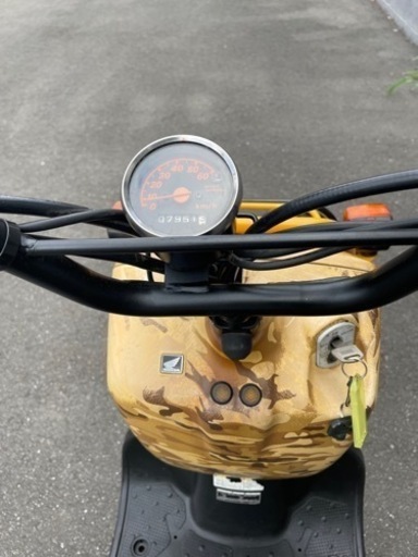 受付終了 ズーマー 低走行8,000km弱 希少な黄色+迷彩色 2003年