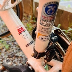 ルイガノ　クロスバイク①
