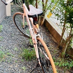 ルイガノ　クロスバイク①
