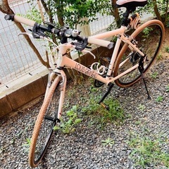 ルイガノ　クロスバイク①
