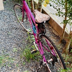 ルイガノ　クロスバイク②