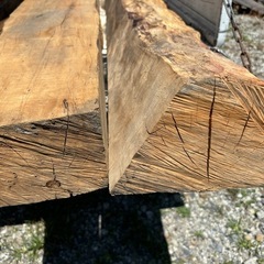 銘木？ゴツゴツ肌木材