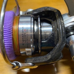 ダイワ　キャタリナ4020PE-H