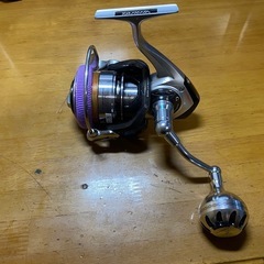 ダイワ　キャタリナ4020PE-H