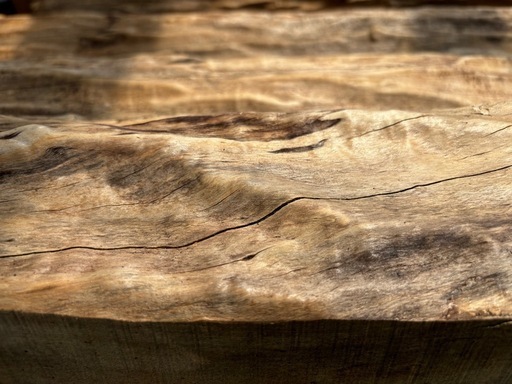 銘木？ゴツゴツ肌木材