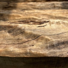 銘木？ゴツゴツ肌木材