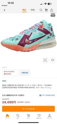 NIKE LEBRON 18 LOW EP ナイキ レブロン 18 ロー \