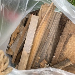 千葉県市原市 ケヤキ 伐採木材 引き取り限定