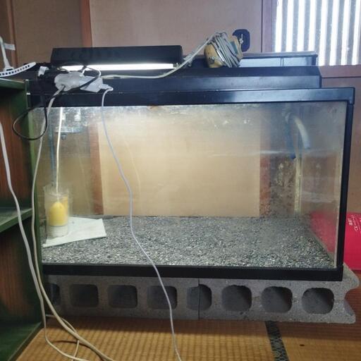 水槽＋モーター＋ライト
