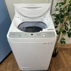 I706 🌈 2022年製♪ SHARP 洗濯機 （6.0㎏） ⭐ 動作確認済 ⭐ クリーニング済