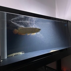 1800オーバーフロー水槽セット