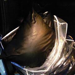 ノア、ヴォクシー、エスクァイア用リアシート