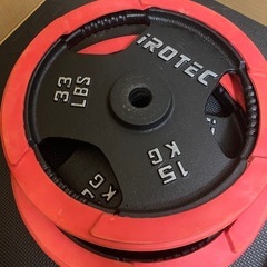 【IROTEC】アイロテックプレート15Kg×2 筋トレ