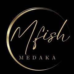 メダカ、メガ🈹 (M.fishメダカ) 椎柴のその他の中古あげます・譲ります  