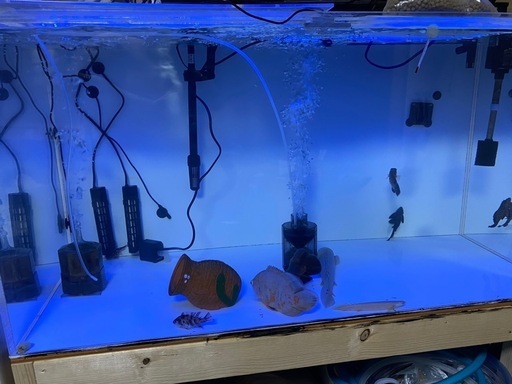 120×60×60水槽今週取り引き限定
