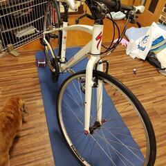 スペシャライズドVITA　ジュニア、女性向き！