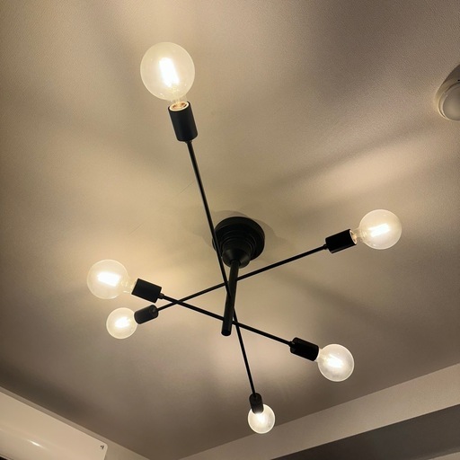 Astre ブラック ウニコ 【公式通販】