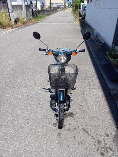 リトルカブ50