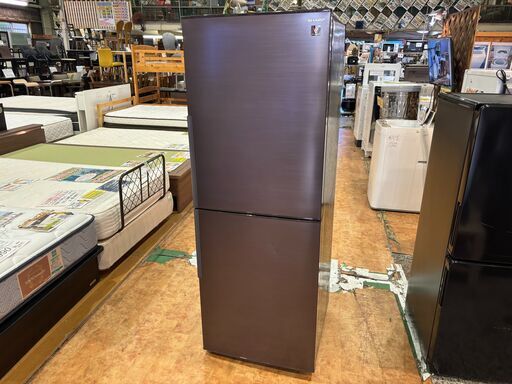 ✨安心の除菌洗浄済✨SHARP 2021年製 280L 2ドア冷蔵庫 SJ-PD28G-T【愛市IR016963-104】