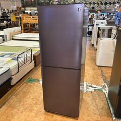 ✨安心の除菌洗浄済✨SHARP 2021年製 280L 2ドア冷蔵庫