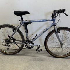 ARAYA Federal改 700×32C 3×8s