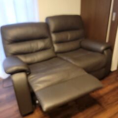 電動二人掛けソファー