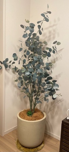 観葉植物　フェイクグリーン（2）