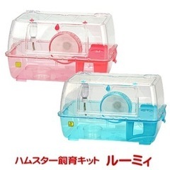 2匹のジャンガリアンハムスター用品揃います高槻市に取りに来てください 2匹のジャンガリアンハムスター用品揃います高槻市に取りに来てください