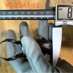 能勢YG血統 オオクワガタ 87.8/87.5/87.0/86.1 同腹ペア