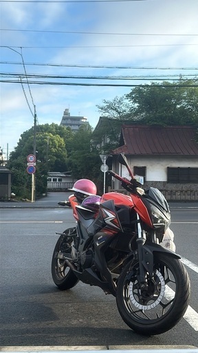 カワサキ z250