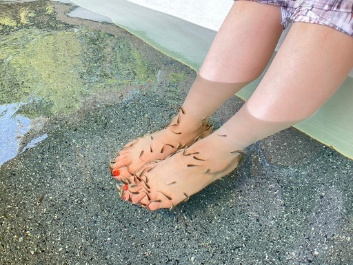 ˆᴗˆ )/☆ドクターフィッシュ♪♪♫ - その他 