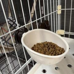 三段キャットケージ🐈‍⬛