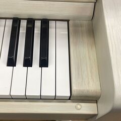 伝統のブランド　ディアパソン　オリジナル外装仕上げ！