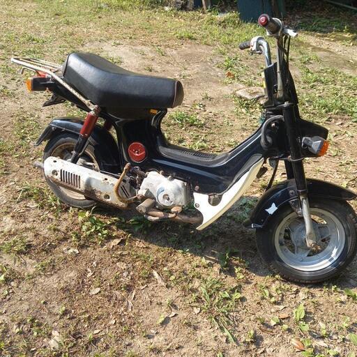 ホンダシャリー50