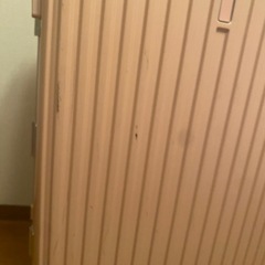 大きいサイズ キャリーケース