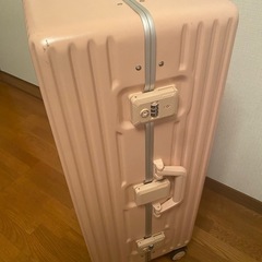 大きいサイズ キャリーケース