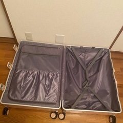 大きいサイズ キャリーケース