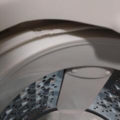 2019年式　TOSHIBA　洗濯機(5kg)　AW-5G6